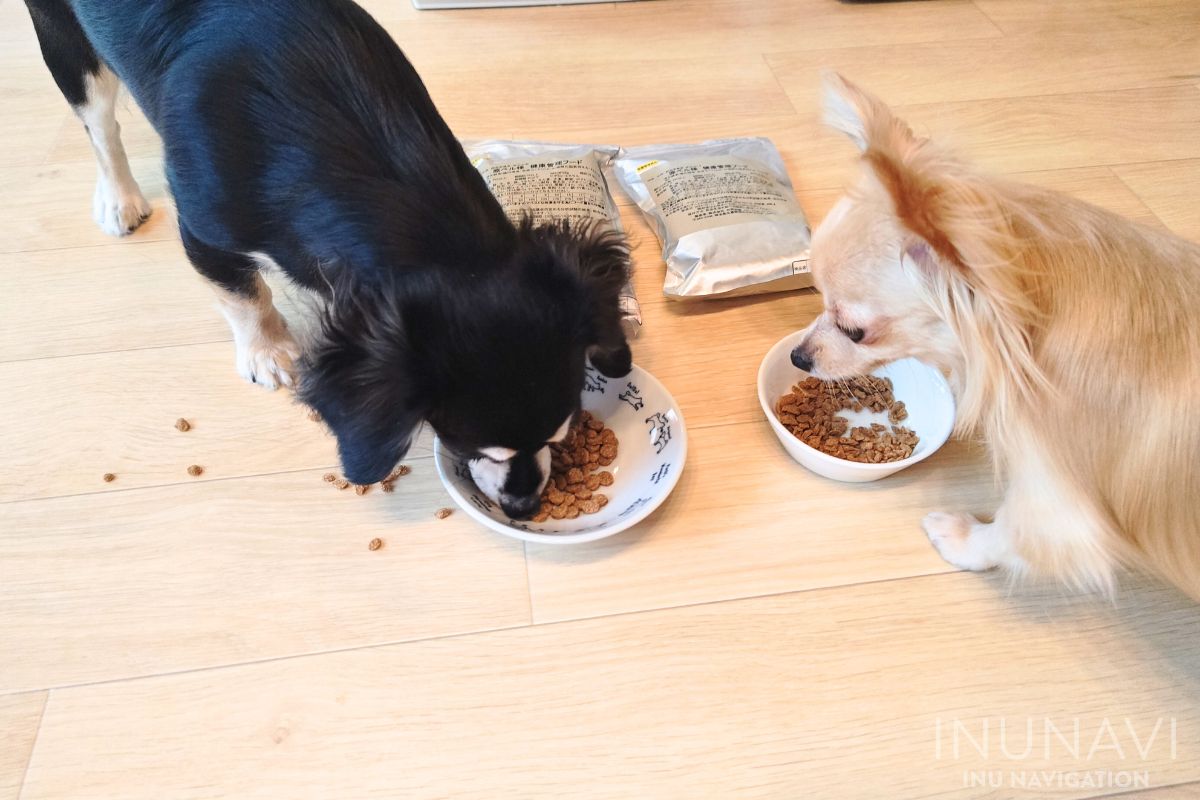 吉岡油糧　丸粒を食べる愛犬とフレーク粒を食べる愛犬 (2)